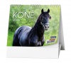 Kalendář stolní IDEÁL-Koně - týdenní-165x135 (BSL8)
