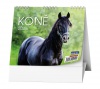 Kalend stoln IDEL-Kon - tdenn-165x135 (BSL8)