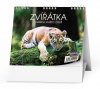 Kalendář stolní IDEÁL - Zvířata - týdenní 165x135 (BSJ6)